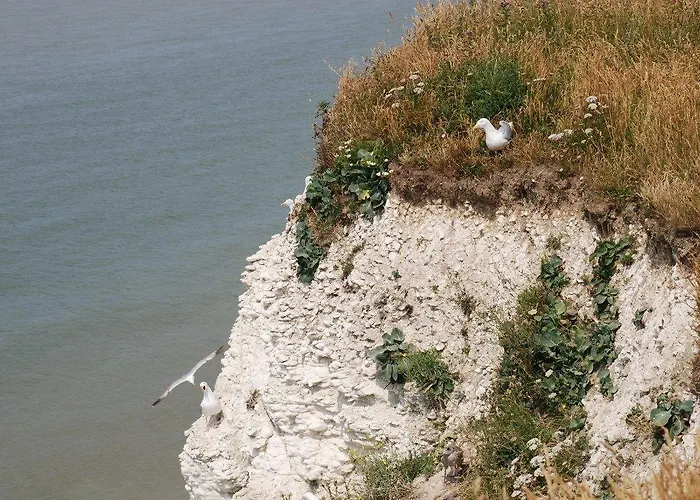 La Maison Blanche Aparthotel Sangatte