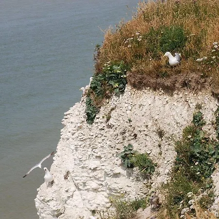 La Maison Blanche Apartmanhotel Sangatte