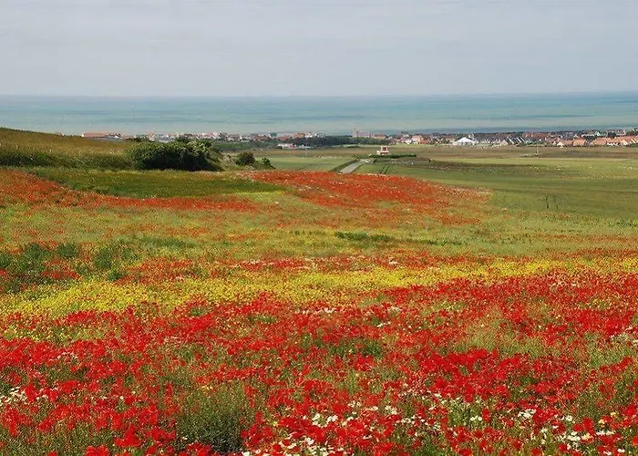 La Maison Blanche Hotel apartamentowy Sangatte